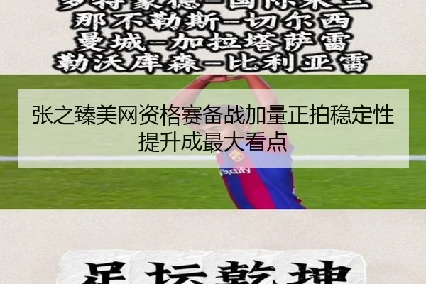 张之臻美网资格赛备战加量正拍稳定性提升成最大看点 - ODSPORTS